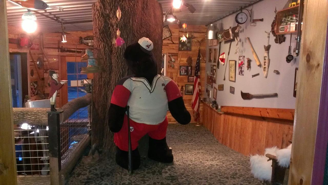 Whisperin' Pines Chalet คูเปอร์สทาวน์ ภายนอก รูปภาพ
